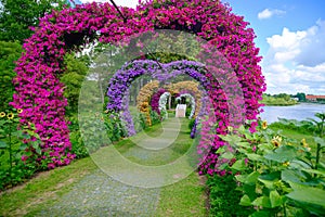 Pakruojis, Lithuania - July 7, 2023: Pakruojis manor flower installation in the shape of a heart. Multicolored petunia