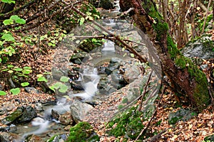 The Pal creek in Arinsal mountain at the Andorran Pyrenees.