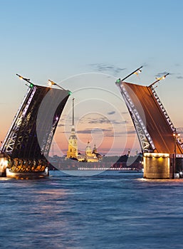 Palace Bridge, Peter Paul Cathedral. White Nights St.-Petersburg, Russia