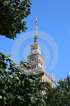 The Palace of Culture and Science of Warsaw behind a tree