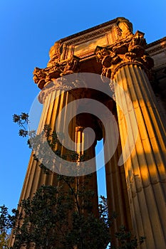 The Palace of Fine Arts