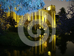 Palace of Fine Arts with blue tree