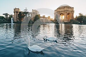 The Palace of Fine Arts in the Marina District of San Francisco, California, Sunset with swan