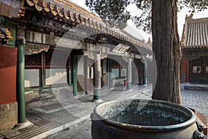 Palace of gathered Elegance