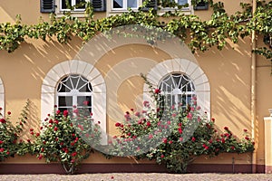 Palace of Johannisberg