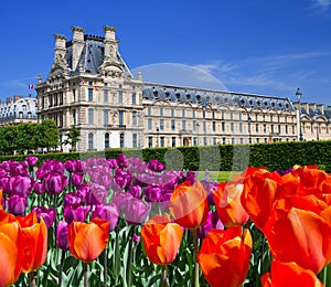 The Palace in the Luxembourg Garden