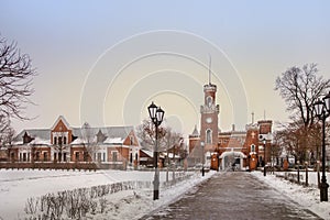 The palace of the Oldenburg Princess in Voronezh region in winter, Russia