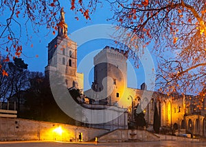 Palace of Popes at night, Avignon, France