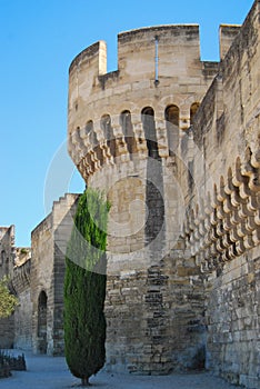 Palace of the Popes Palais des Papes