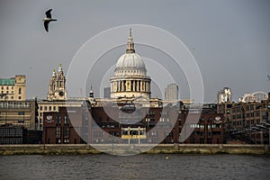 Palaces and Churches - London St Paul's