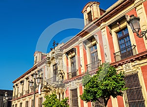 The Palacio Arzobispal in Seville - Spain, Andalusia