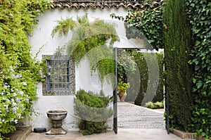 Palacio de Viana - Typical Andalusian patio