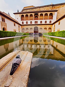 Palacios Nazaries in Granada, Spain photo