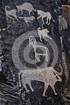 Palaeolithic petroglyphs in the famous Sarmish Gorge