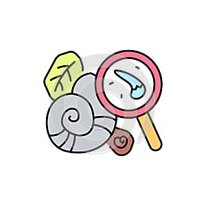 Palaeontology line icon. Isolated vector element.