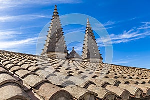 Palais des Papes in Avignon, France