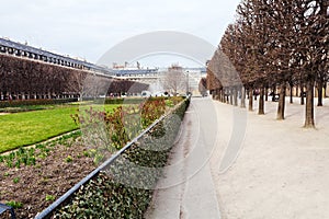 Palais-Royal garden in Paris