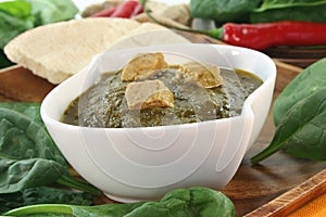 Palak Paneer photo