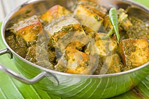 Palak Paneer