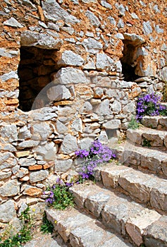 Palamidi Castle on a hill above Nafplio in Greece. Detail with purple flowers