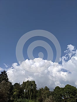 palampur early morning bird's eye view 7