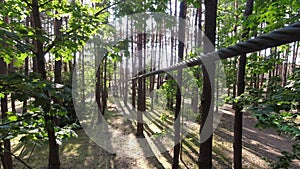 Palanga, Lithuania - 2023: young woman girl sliding along zipline in fir tree forest in summer. Lithuania adventure park in HBH