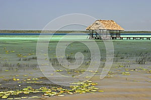 Palapa On Lake Bacalar photo