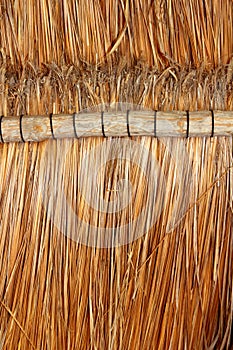 Palapa tropical Mexico wood cabin roof detail photo