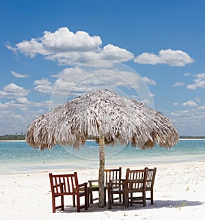 Palapa umbrella