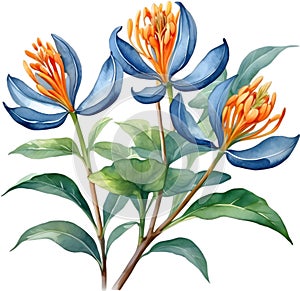 Palash flower, watercolor painting of Palash flower. AI-Generated.