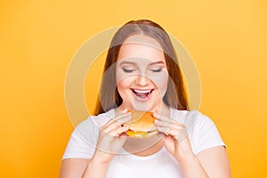 Palatable and toothsome appetizing burger! Close up portrait of photo