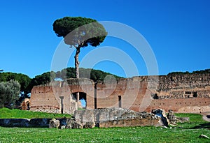 Palatin Hill in Rome