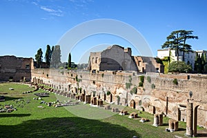 Palatine Hill, view of the ruins of several important ancient  buildings, Hippodrome of Domitian, Rome, Italy