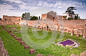 Palatine Stadium ruins background Domus Augustana ruins in Palatine Hill at Rome photo