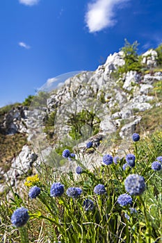 Palava landscape, Natural monument Cat Rock (Kocici skala), Southern Moravia, Czech Republic