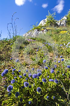 Palava landscape, Natural monument Cat Rock (Kocici skala), Southern Moravia, Czech Republic