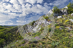 Palava landscape, Natural monument Cat Rock (Kocici skala), Southern Moravia, Czech Republic