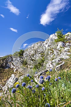 Palava landscape, Natural monument Cat Rock (Kocici skala), Southern Moravia, Czech Republic