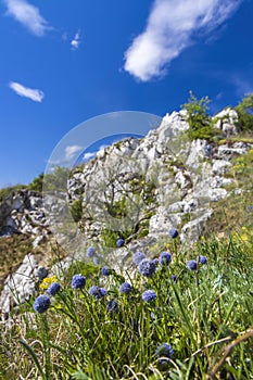 Palava landscape, Natural monument Cat Rock (Kocici skala), Southern Moravia, Czech Republic