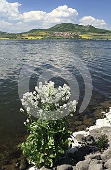 Palava Mountains and the Nove Mlyny Dam