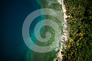 Palawan, Philippines, El Nido. Aerial drone top down view of a secluded deserted tropical beach with coconut palm trees