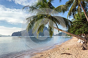 Palawan tropical beach