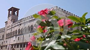 Palazzo dei Priori palace in Perugia behind pink red flowers, focus shift, Italy