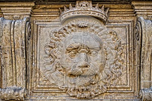 Palazzo pitti lion