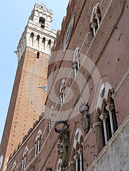 Palazzo Pubblico e Torre del Mangia, Siena photo