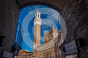 Palazzo Pubblico Palazzo Comunale of Siena and Torre del Mangia Tuscany during the summer