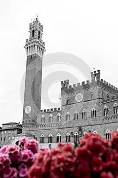 The Palazzo Pubblico, town hall is a palace in Siena, Italy