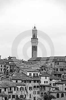 The Palazzo Pubblico, town hall is a palace in Siena, Italy