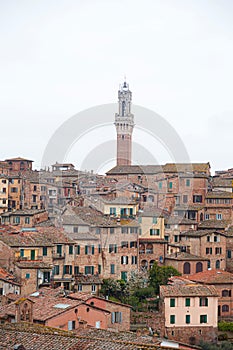 The Palazzo Pubblico, town hall is a palace in Siena, Italy