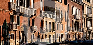 Palazzos on the Grand Canal, Venice photo